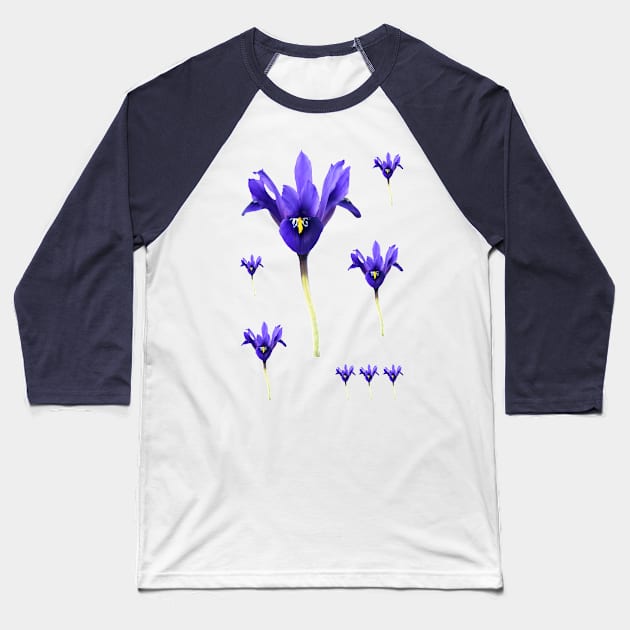 Iris  &#39;Palm Springs&#39;  Reticulata Baseball T-Shirt by chrisburrows